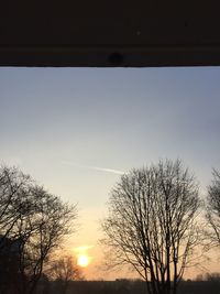 Silhouette bare trees against sky during sunset