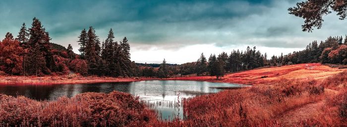 Scenic view of lake against sky during autumn