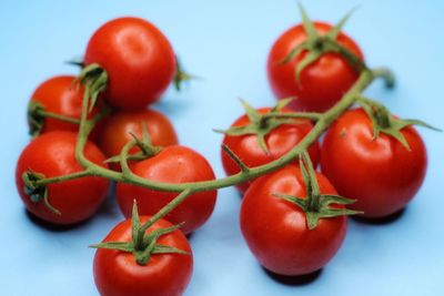 Close-up of tomatoes against white background