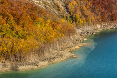 High angle view of sea shore