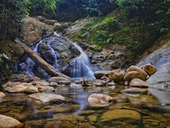Scenic view of waterfall in forest