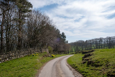 A view along a road in field surrounded by trees