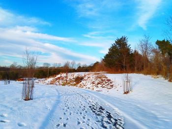 Scenic view of snow covered field