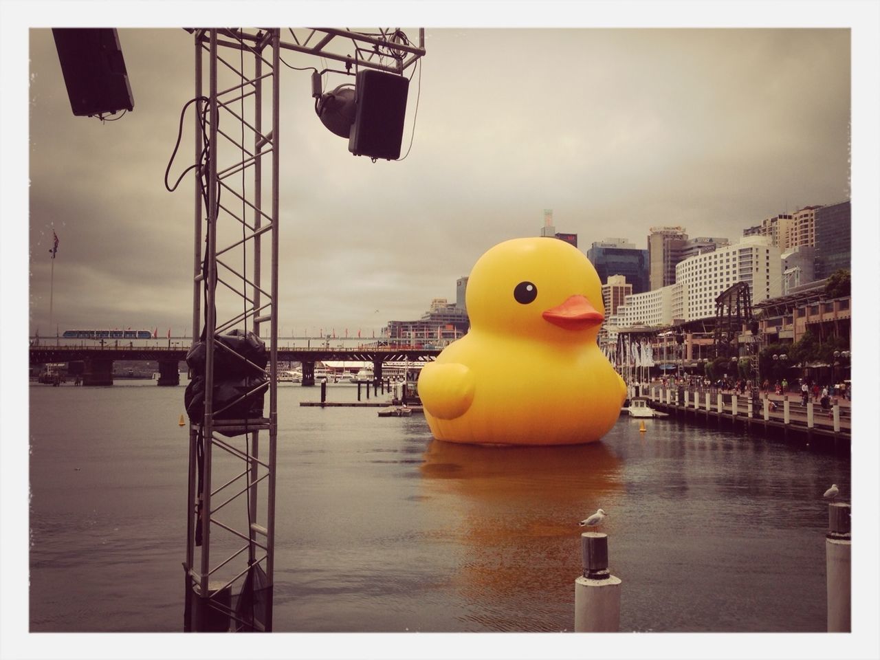 The Giant Duck