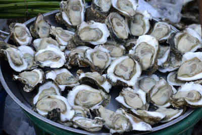 Full frame shot of oysters on kitchen utensil