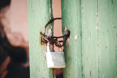 Close-up of wooden door