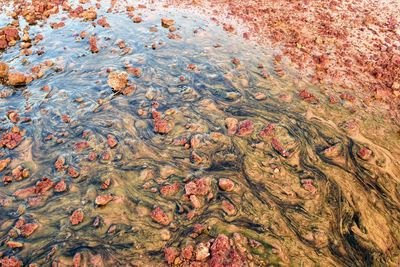 Full frame shot of water