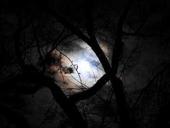 Close-up of bare tree against sunset sky