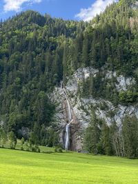 Scenic view of trees and waterfall on mountain