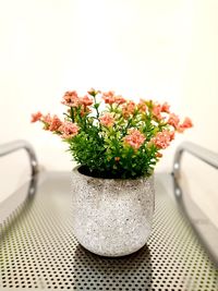 High angle view of potted plant on table