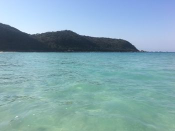 Scenic view of sea against clear sky