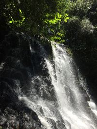 View of waterfall in forest