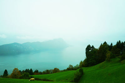 Scenic view of field and mountains against sky
