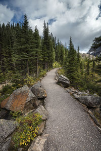 Dirt road amidst trees in forest against sky