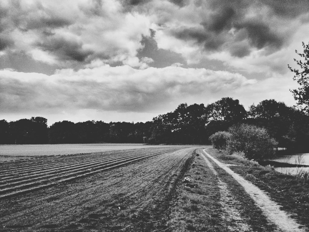 the way forward, sky, transportation, cloud - sky, diminishing perspective, landscape, vanishing point, tree, field, railroad track, cloudy, tranquil scene, tranquility, rural scene, cloud, rail transportation, road, nature, dirt road, country road