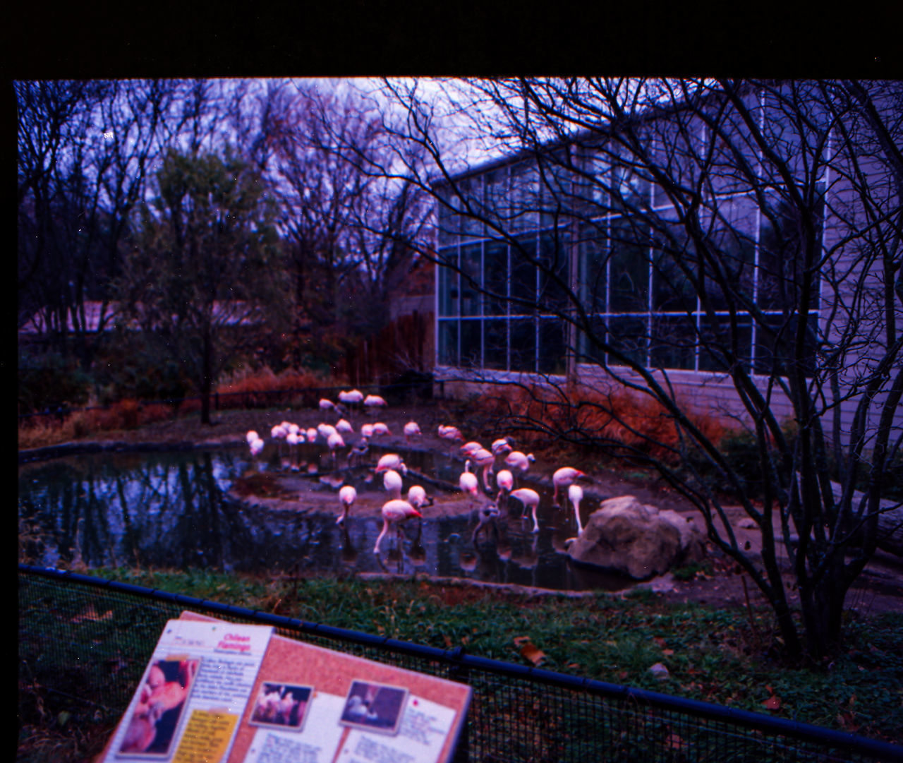 VIEW OF PLANTS AT NIGHT