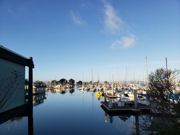 Boats moored in harbor