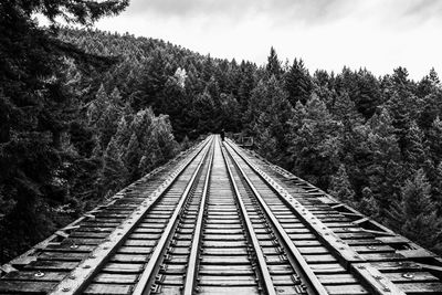 Railway tracks along plants and trees against sky