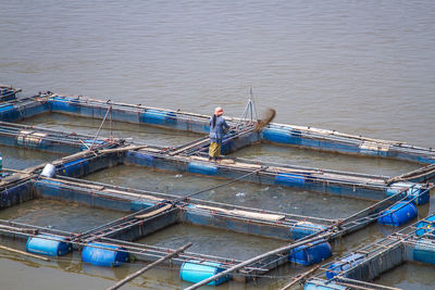 High angle view of woman feeding fish in farm