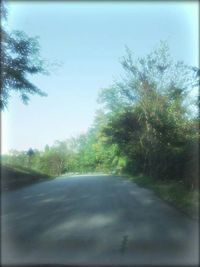 Empty road along trees