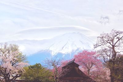 Low angle view of trees and buildings against sky