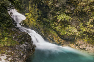 Scenic view of waterfall in forest