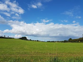 Scenic view of field against sky