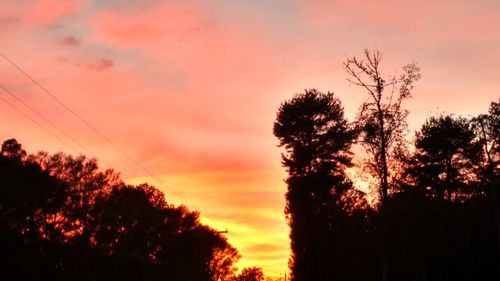 Low angle view of silhouette trees against dramatic sky