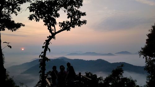 Silhouette people looking at tree against sky during sunset