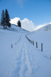 People skiing on snow covered landscape