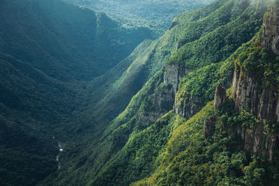 Fortaleza canyon with steep cliffs with forest and river in the bottom, near cambará do sul, brazil.