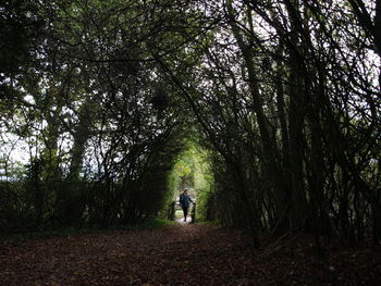 Woman standing in forest