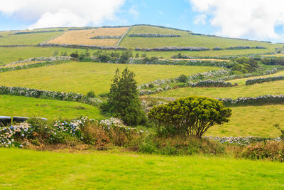 Scenic view of landscape against sky