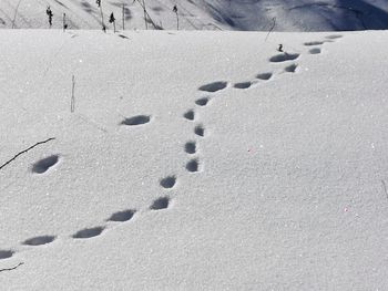 High angle view of footprints on snow field