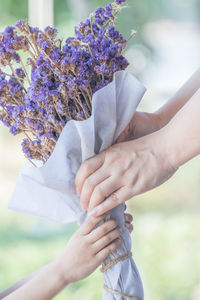 Close-up of hand holding purple flowers