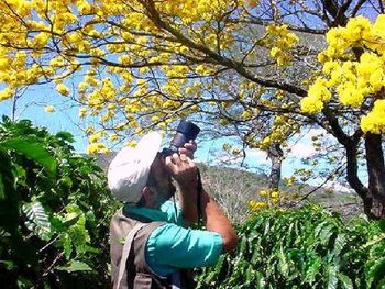 Low angle view of woman standing on tree