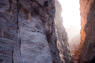 Sun streams through a richly-colored canyon