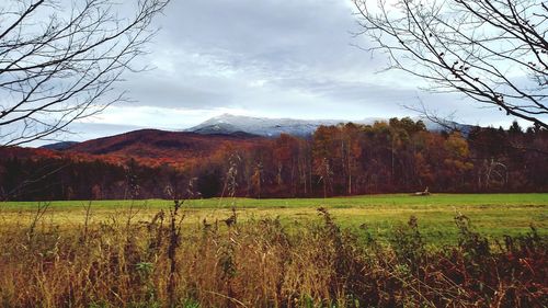 Scenic view of field against cloudy sky