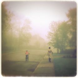 Full length of woman standing on tree trunk