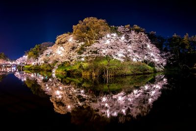 Scenic view of trees at night