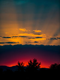 Silhouette plants against dramatic sky during sunset