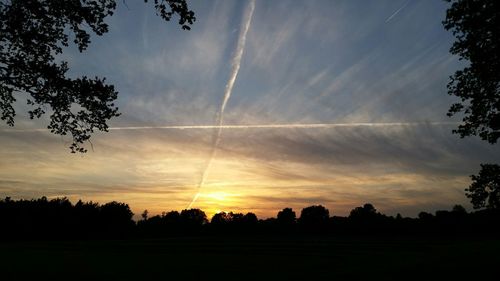 Silhouette of trees on landscape at sunset