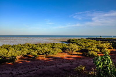 Scenic view of sea against blue sky