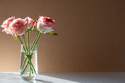 Close-up of pink rose in vase against wall