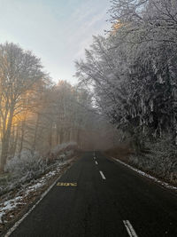 Road amidst trees against sky during winter