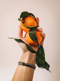 Cropped hand of woman holding plant