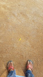 Low section of man standing on ground