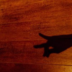 High angle view of person shadow on hardwood floor