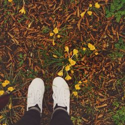 Low section of man standing by yellow crocus flowers