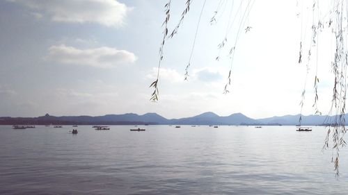 Sailboats in sea against sky